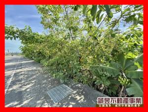 誠昱/新化中正路面方正.